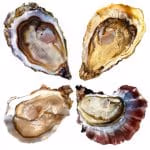 Diamanti del Mare