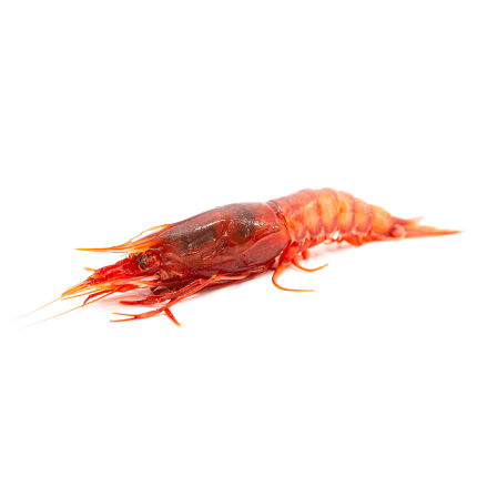 Gambero rosso Tirreno