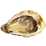 Spéciale Gillardeau