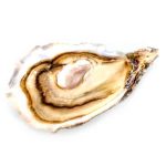 Perle Blanche Originale