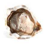 Verneuil - Veules les Roses