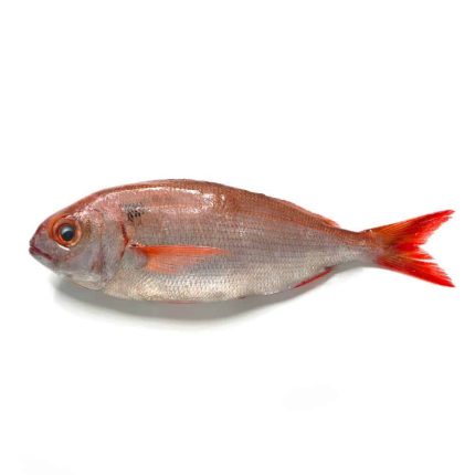 Pezzogna
