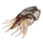 Seppia Nera Fresca