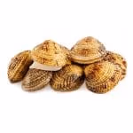 Tartufi di mare o noci